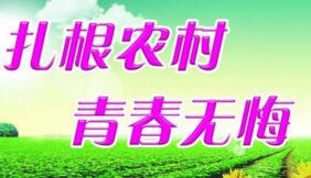 大學(xué)生村官選調(diào)生是公務(wù)員嗎？村官選調(diào)生和選調(diào)生什么區(qū)別？有編制嗎？