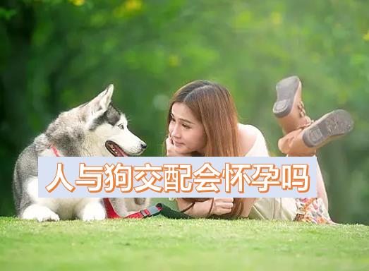 女人和狗交配會(huì)懷孕嗎？人與狗交配會(huì)怎樣？喝了酒跟我家的狗狗做了愛該怎么辦??？