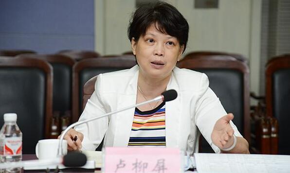 盧柳屏簡歷：柳州市副市長盧柳屏，曾任柳州績效辦主任