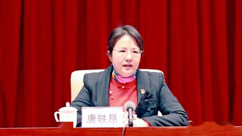 唐軼昂任防城港市委副書記、市長候選人，班忠柏任廣西民宗委主任（唐軼昂|班忠柏簡歷）