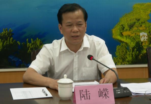 陸嶸簡(jiǎn)歷：河池市政府秘書長(zhǎng)陸嶸，曾任河池市人大秘書長(zhǎng)，鳳山縣委副書記、縣長(zhǎng)
