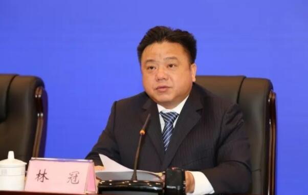 林冠簡歷：林冠任欽州市委書記，曾任賀州市委書記、市長，北部灣投資集團董事長