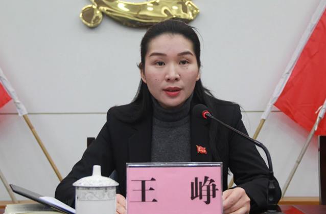 王崢簡歷：桂林市委巡察組組長王崢，曾任平樂縣委常委、紀委書記